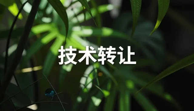技术转让在性能优化中的实际应用场景分析